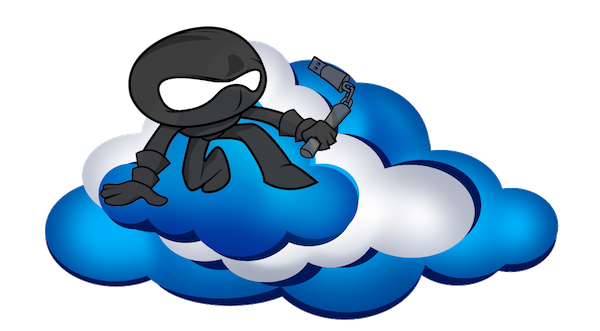 cloud services explained ninja graphic